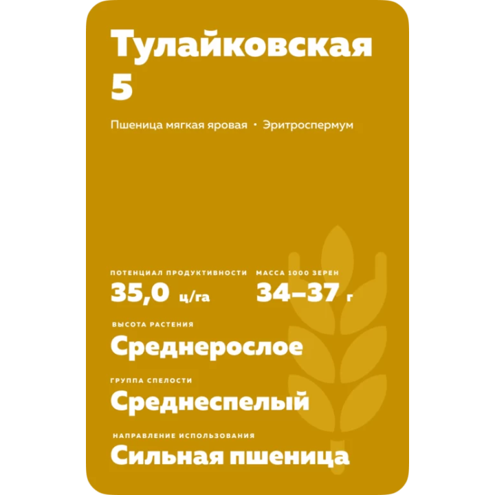 ТУЛАЙКОВСКАЯ 5