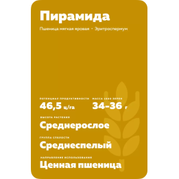 ПИРАМИДА