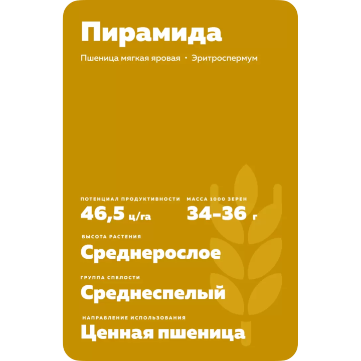 ПИРАМИДА