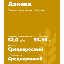 ПАМЯТИ АЗИЕВА