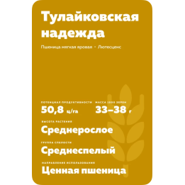 ТУЛАЙКОВСКАЯ 100