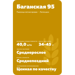 БАГАНСКАЯ 95