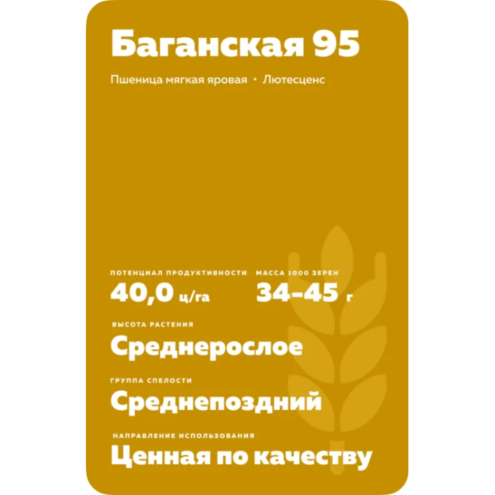 БАГАНСКАЯ 95