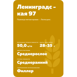 ЛЕНИНГРАДСКАЯ 97