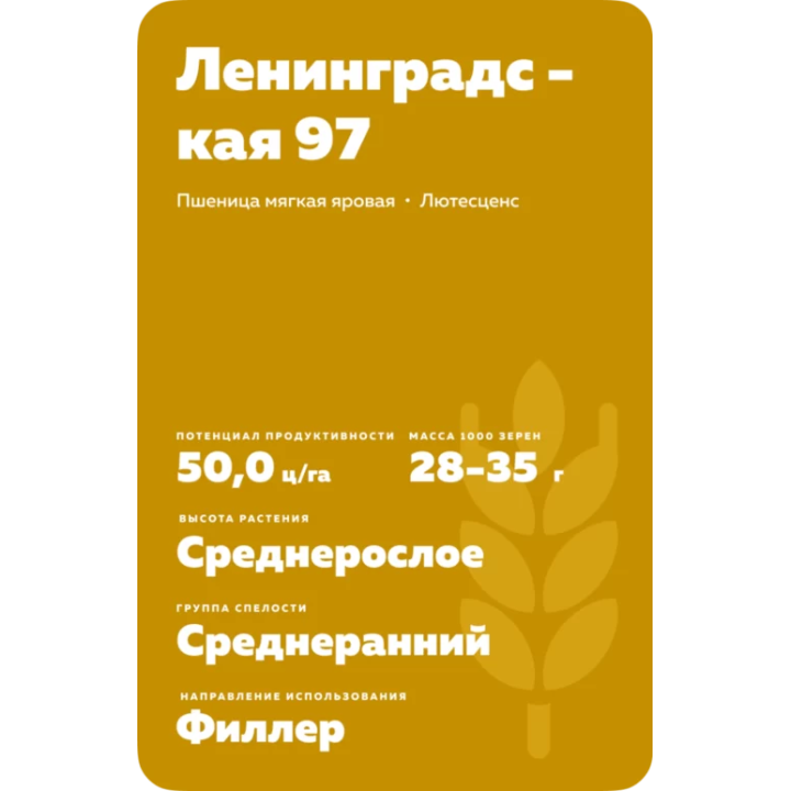 ЛЕНИНГРАДСКАЯ 97