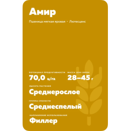 АМИР