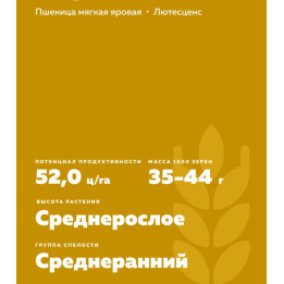 ЧЕРНЯВА 13