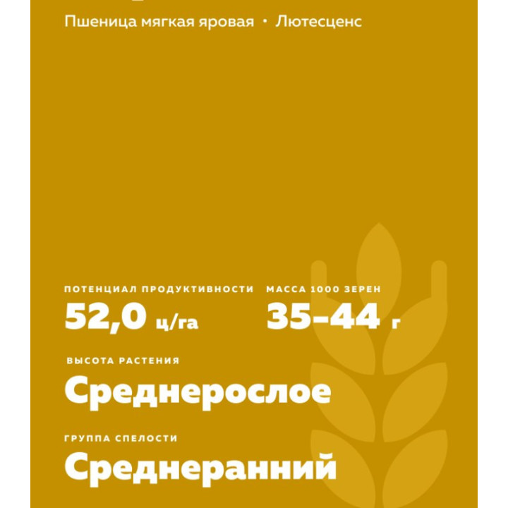 ЧЕРНЯВА 13