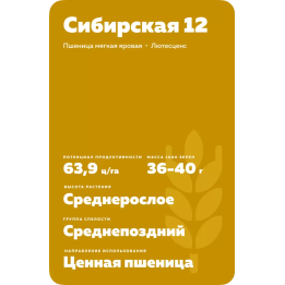 СИБИРСКАЯ 12