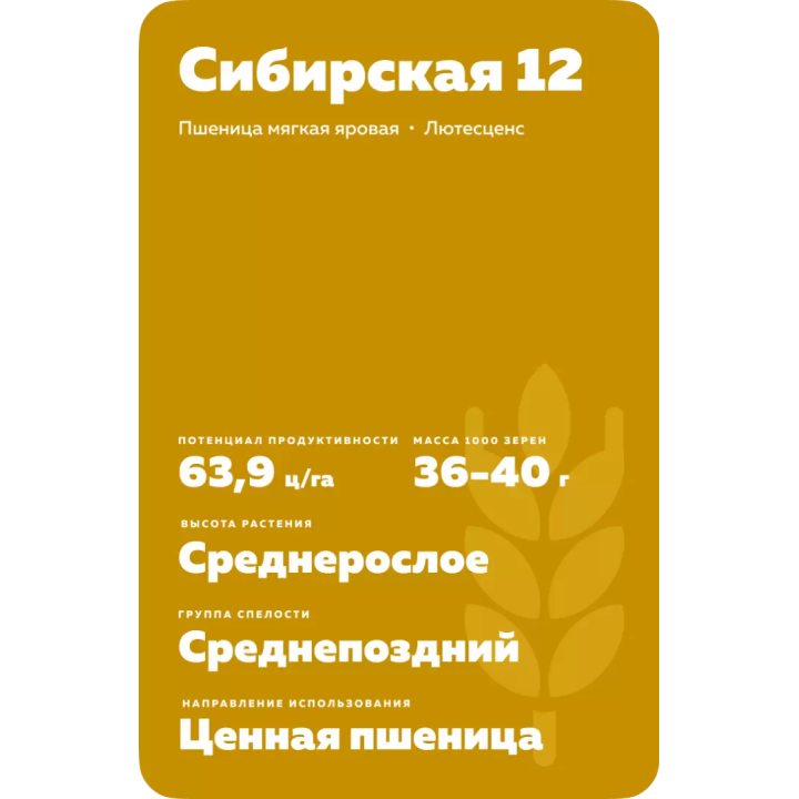 СИБИРСКАЯ 12