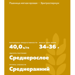 ЧЕЛЯБА 2