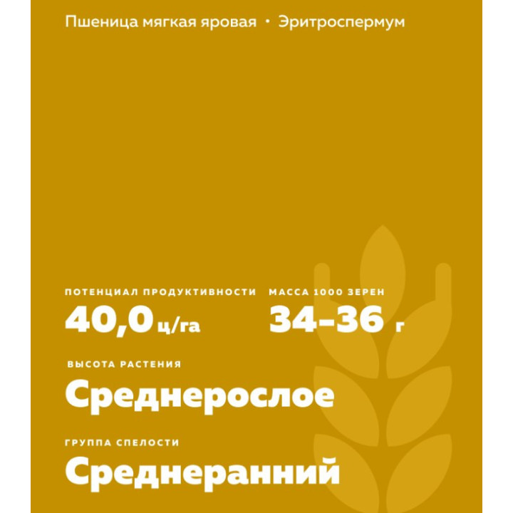 ЧЕЛЯБА 2