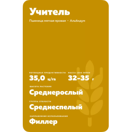 УЧИТЕЛЬ