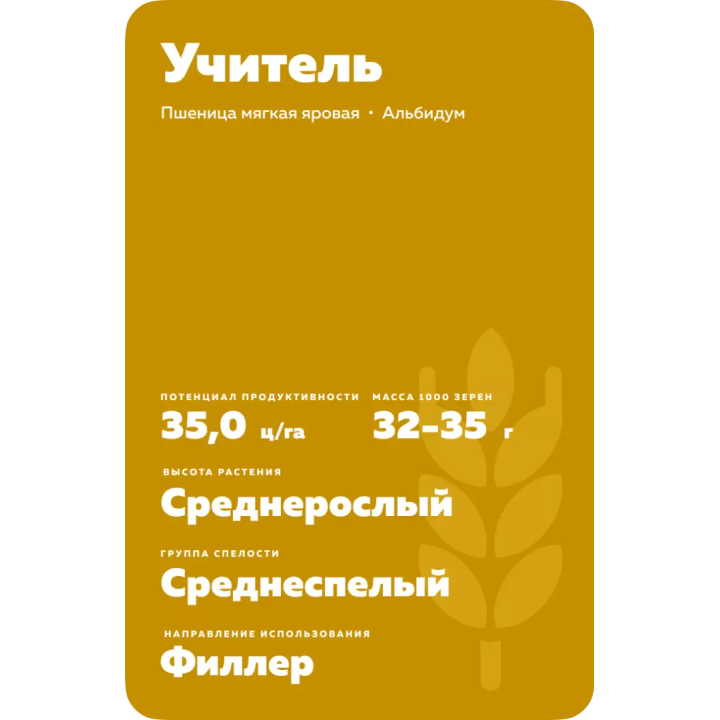 УЧИТЕЛЬ