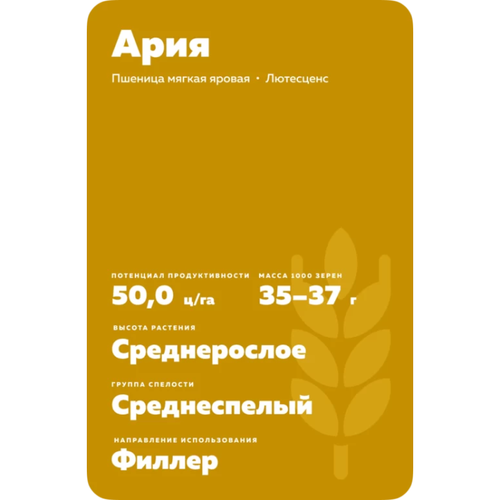 АРИЯ