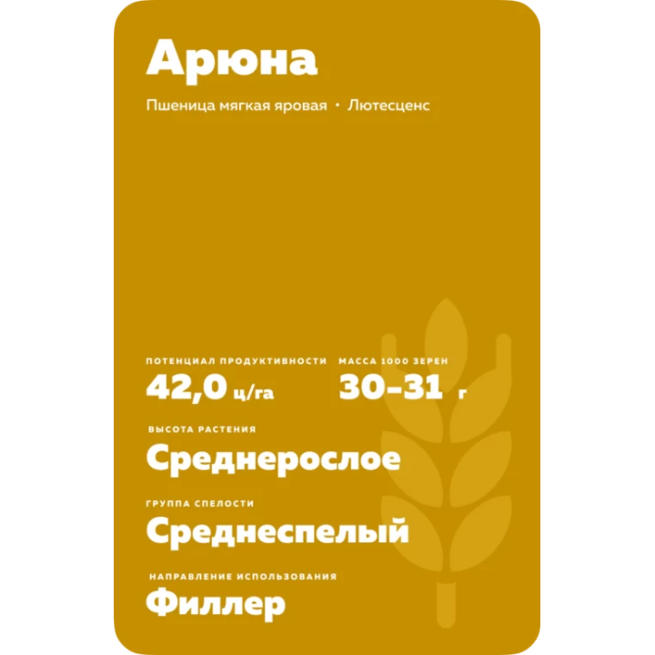 АРЮНА