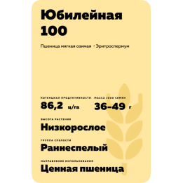 КАЗАНСКАЯ ЮБИЛЕЙНАЯ