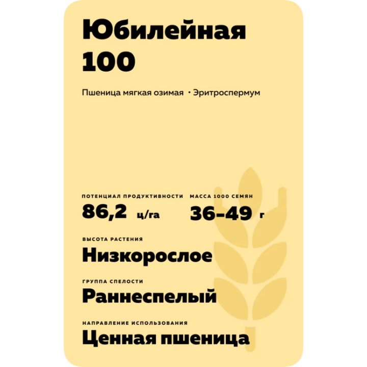 КАЗАНСКАЯ ЮБИЛЕЙНАЯ