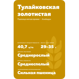 ТУЛАЙКОВСКАЯ ЗОЛОТИСТАЯ