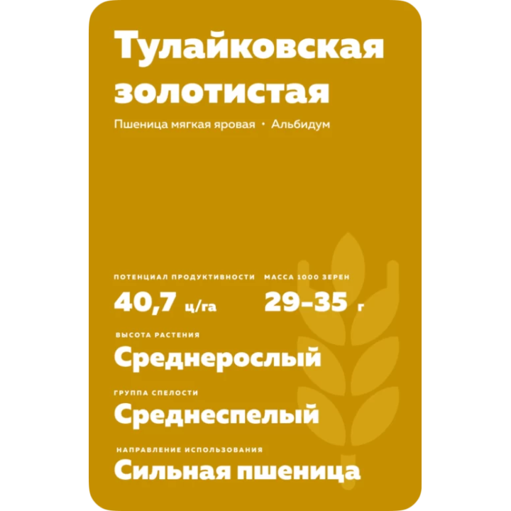 ТУЛАЙКОВСКАЯ ЗОЛОТИСТАЯ