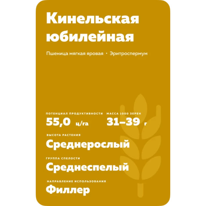 КИНЕЛЬСКАЯ 61