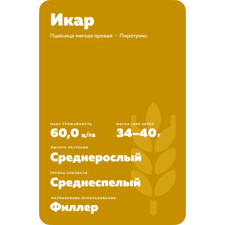 ИКАР