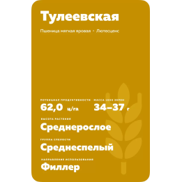 ТУЛЕЕВСКАЯ