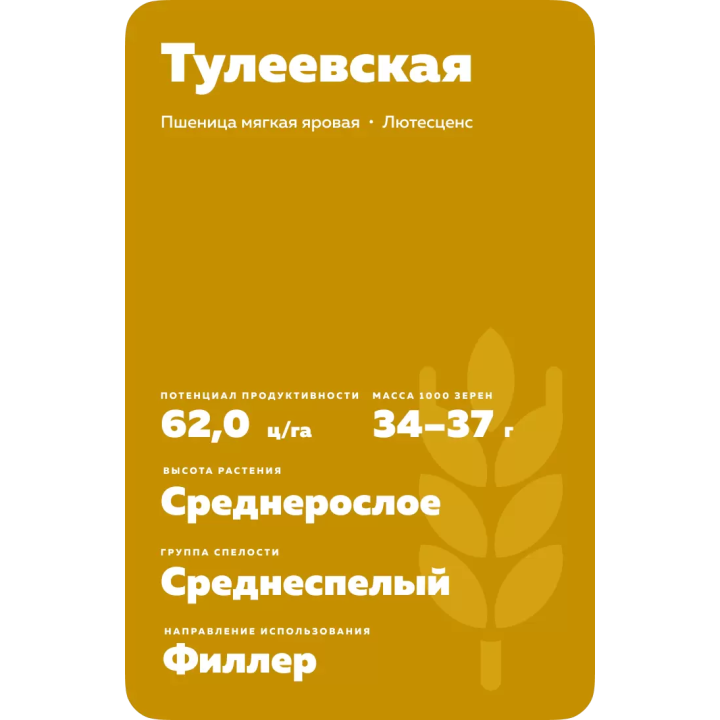 ТУЛЕЕВСКАЯ