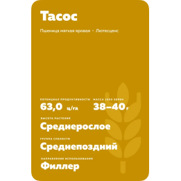 ТАСОС