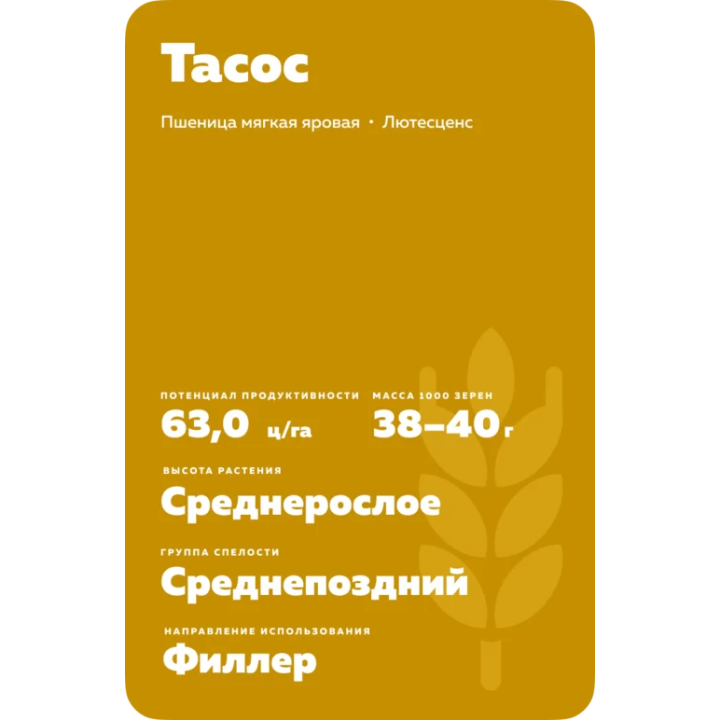 ТАСОС