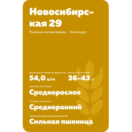 НОВОСИБИРСКАЯ 29