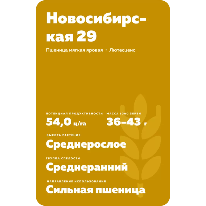 НОВОСИБИРСКАЯ 29
