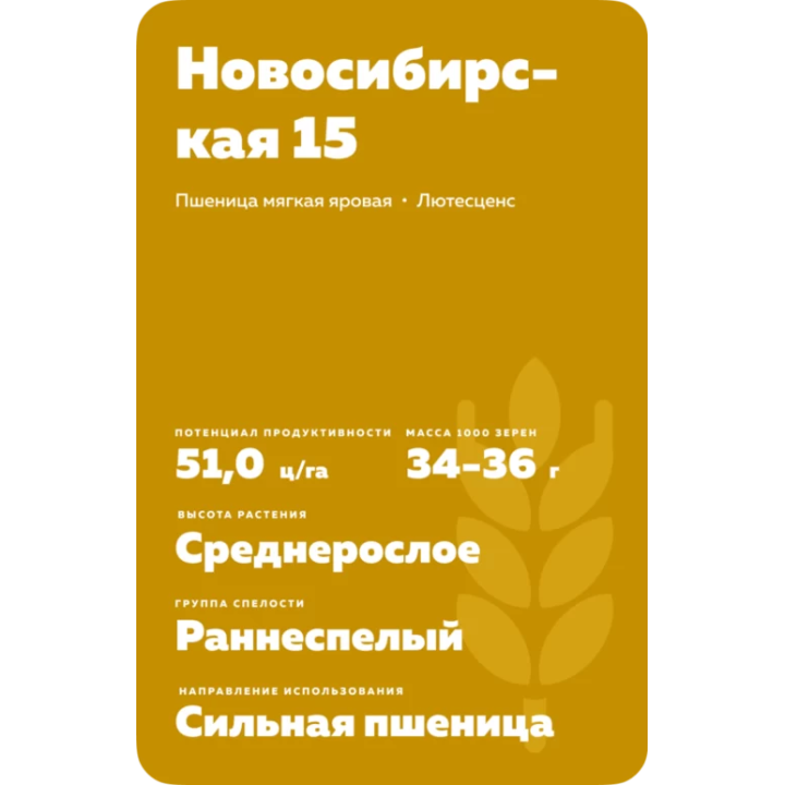 НОВОСИБИРСКАЯ 15