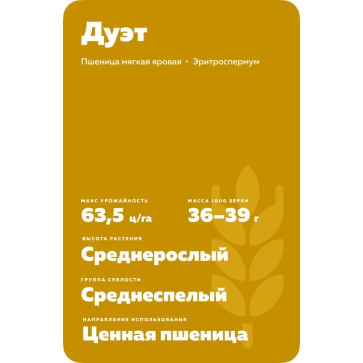 ДУЭТ