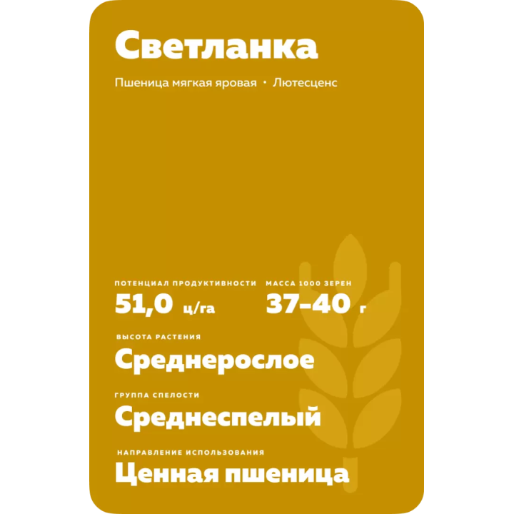 СВЕТЛАНКА