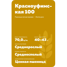 КРАСНОУФИМСКАЯ 100