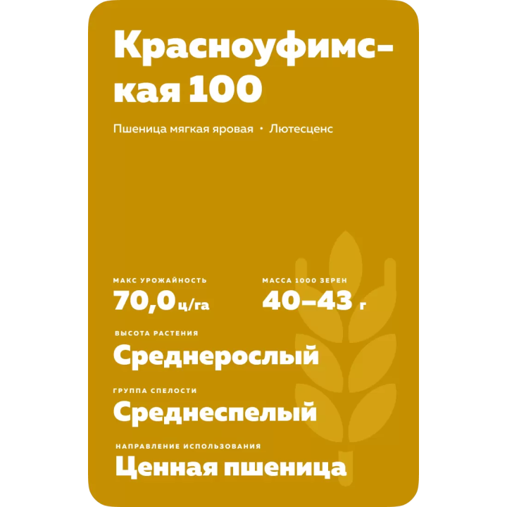 КРАСНОУФИМСКАЯ 100