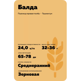 БАЛДА