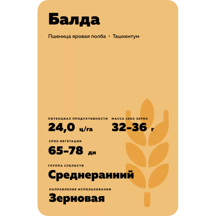 БАЛДА