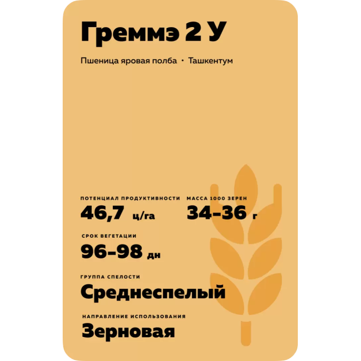 ГРЕММЭ 2 У