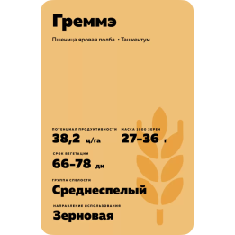 ГРЕММЭ