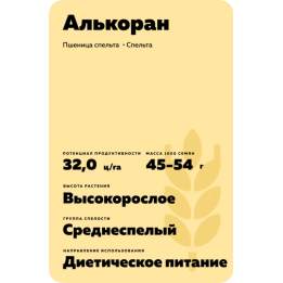 АЛЬКОРАН