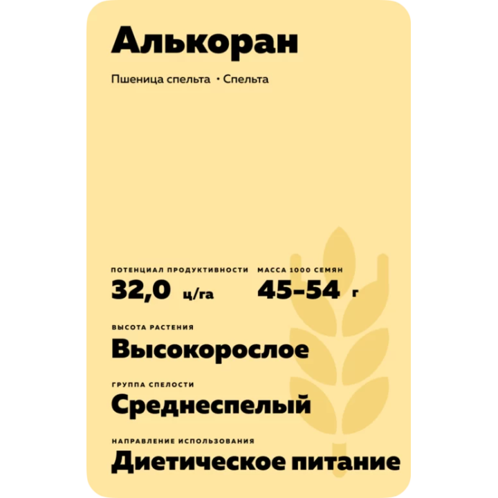 АЛЬКОРАН