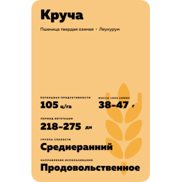 КРУЧА