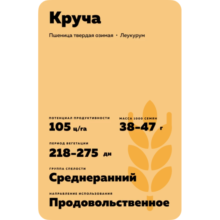 КРУЧА
