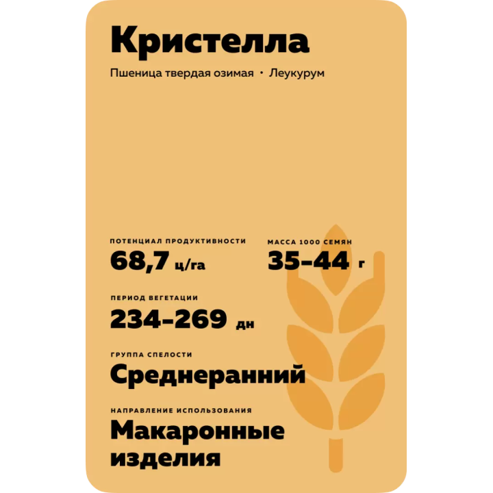 КРИСТЕЛЛА