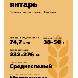 СТЕПНОЙ ЯНТАРЬ