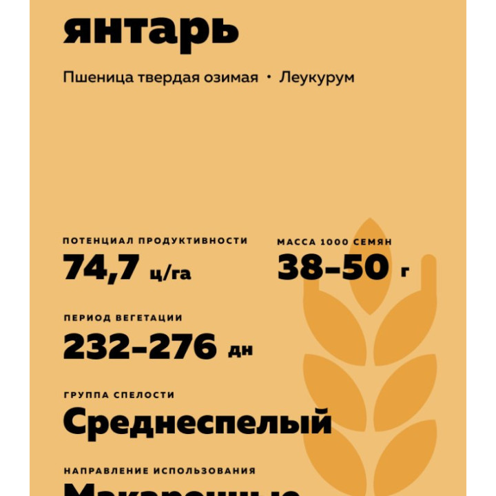 СТЕПНОЙ ЯНТАРЬ