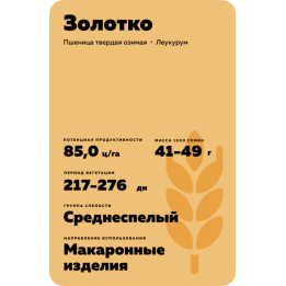 ЗОЛОТКО