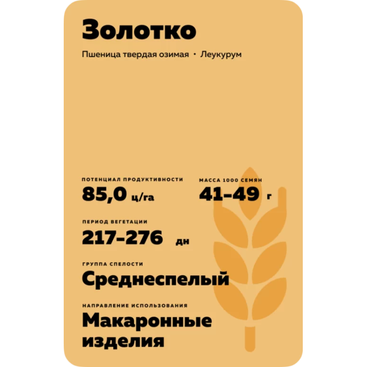 ЗОЛОТКО